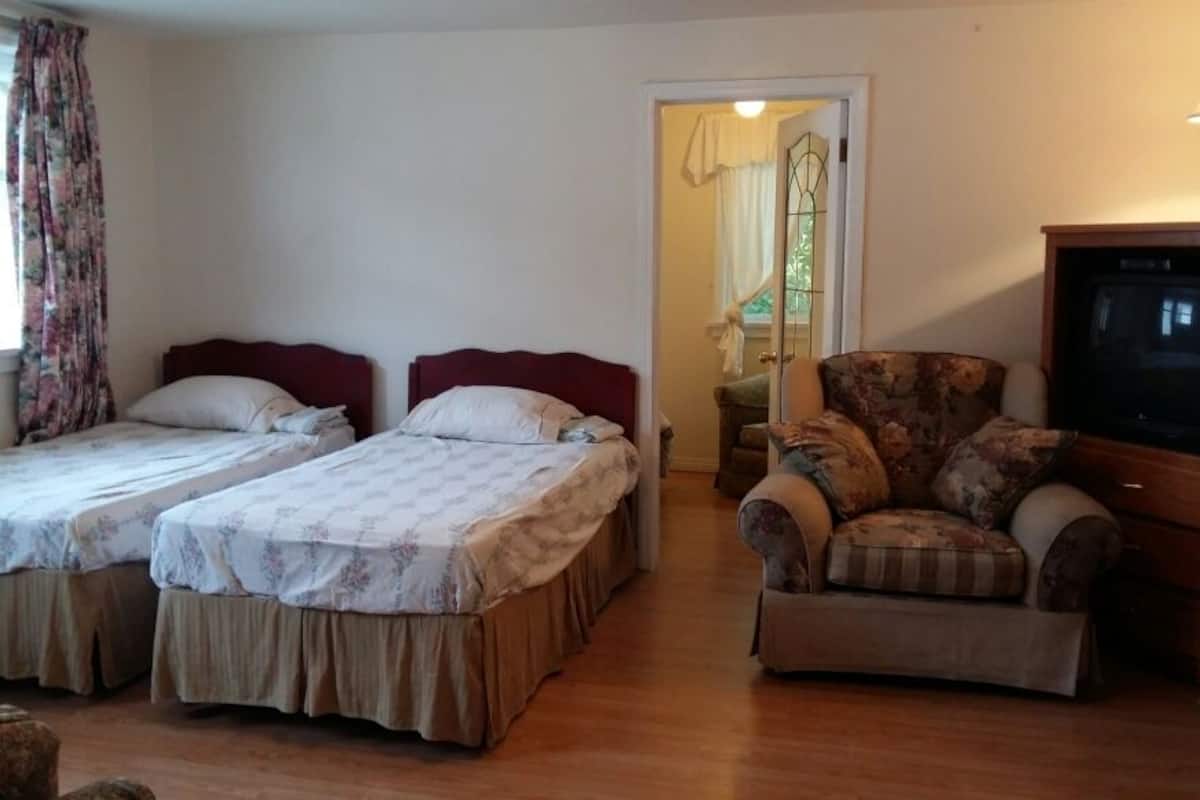 Una habitación con dos camas individuales, un sofá, una televisión y una ventana con cortinas.