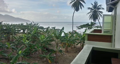 The Nixon's Bay Side Mangrove Inn