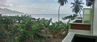 The Nixon's Bay Side Mangrove Inn