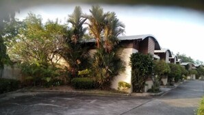 A residential street with houses, palm trees, and a paved road.