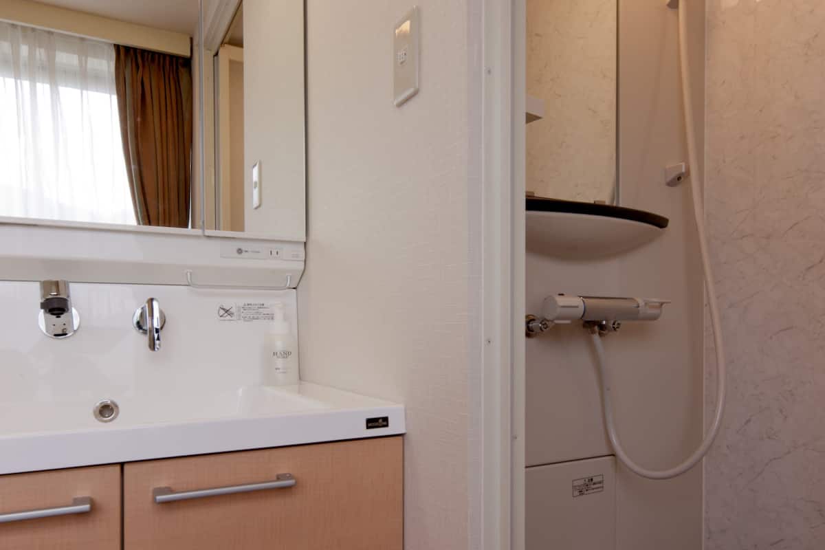 free toiletries, hair dryer, slippers, electronic bidet