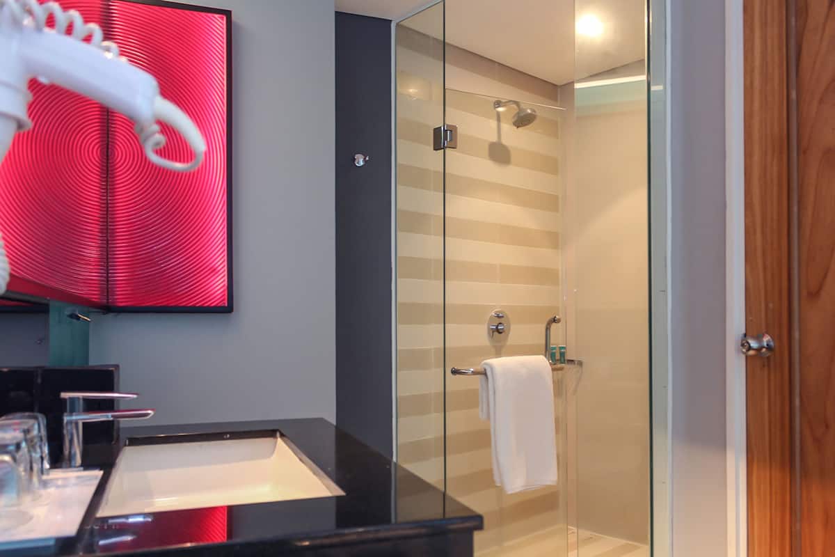 the 1o1 suite | bathroom | shower, free toiletries, hair dryer, bathrobes