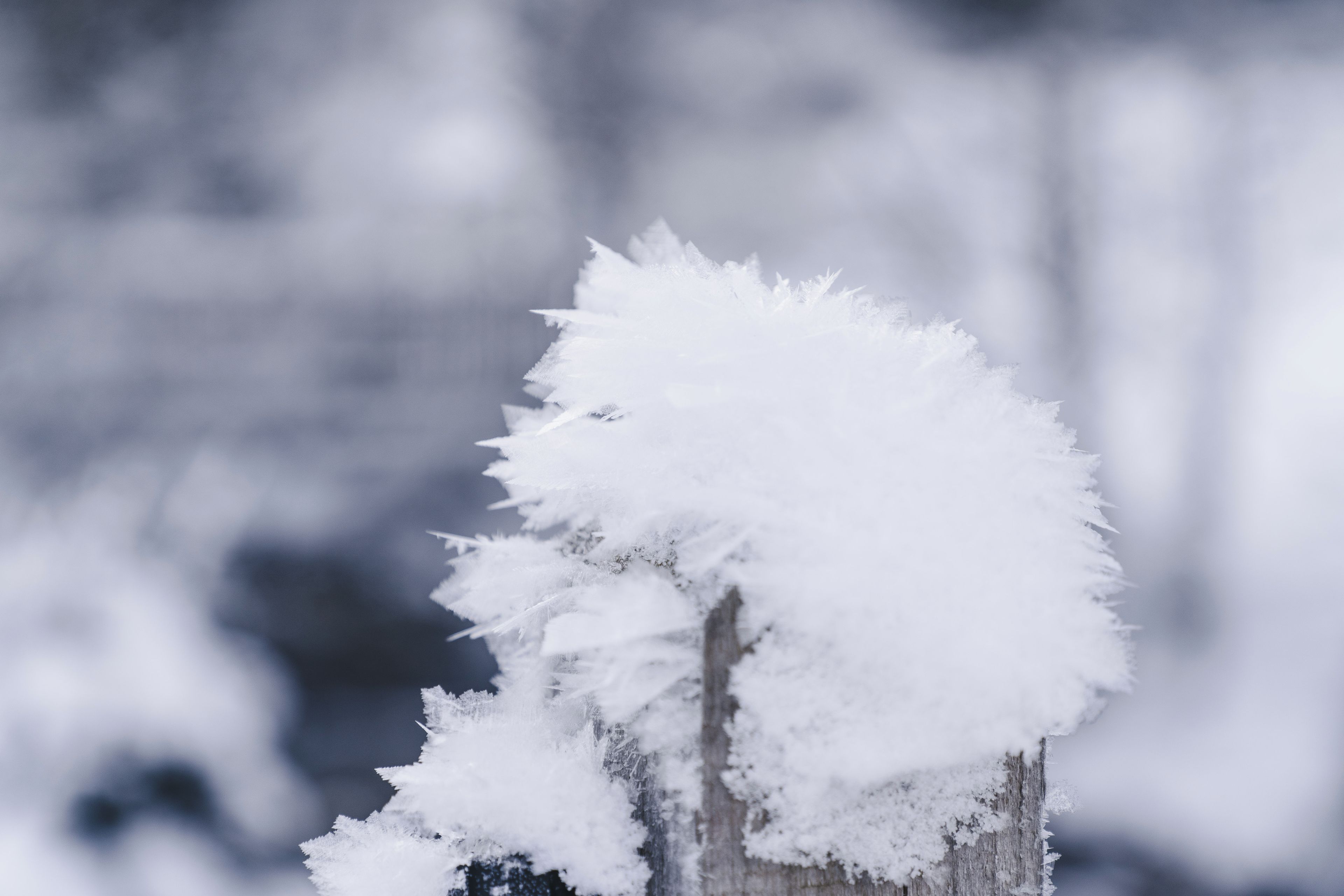 Un poste de madera cubierto de nieve.