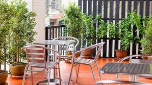 A patio area with metal chairs and a table, surrounded by potted plants and a black fence. - Hat Yai Rama Hotel (Hat Yai)