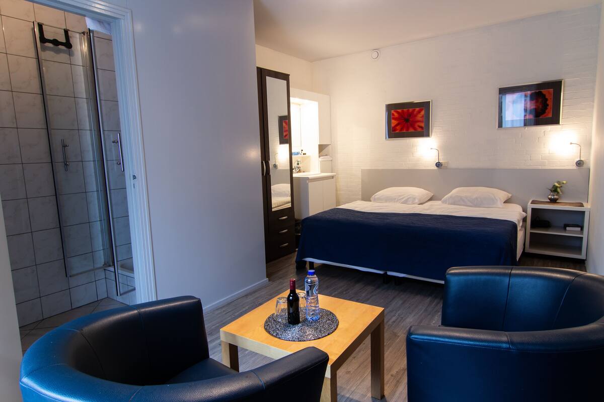 Habitación estándar con 1 cama doble o 2 individuales | Escritorio, cunas gratuitas, camas supletorias y wifi gratis