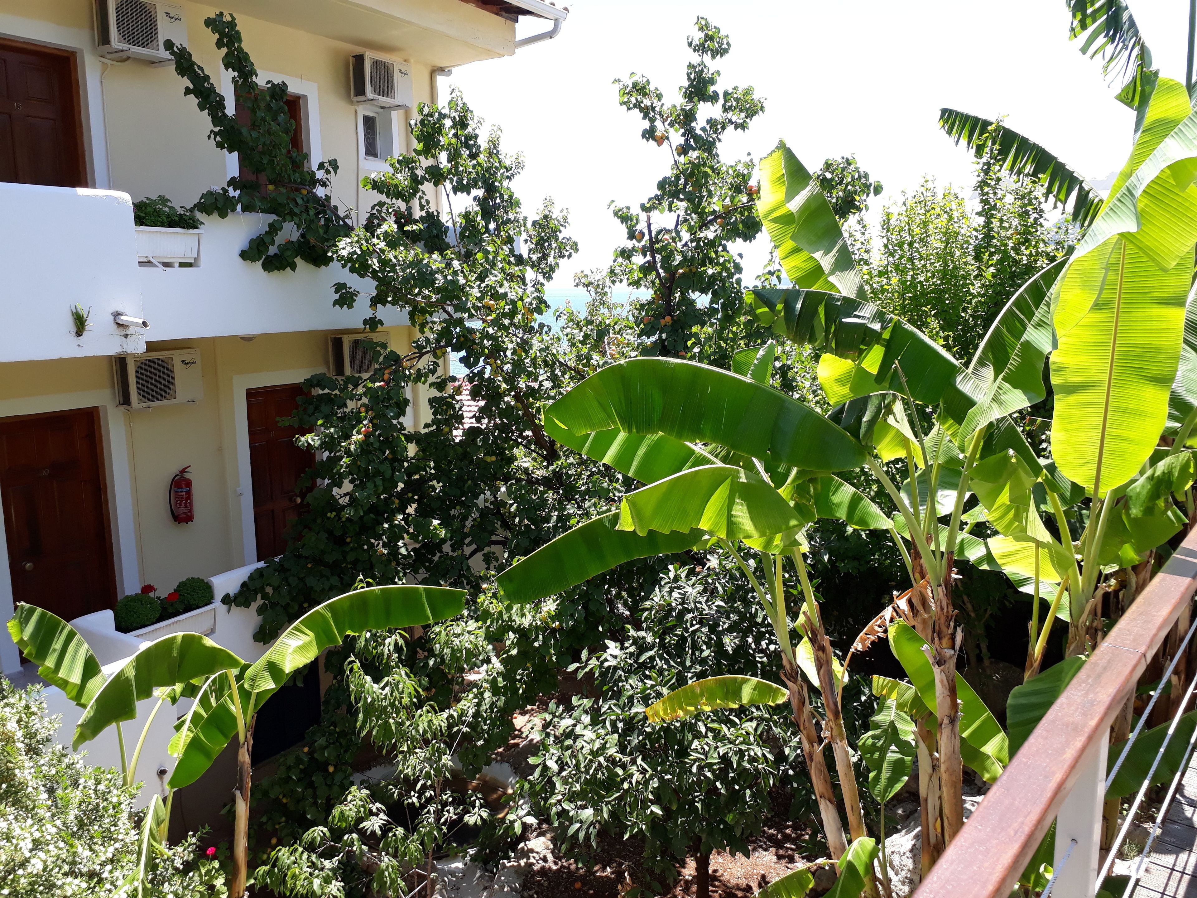 Une cour avec un bâtiment blanc, plusieurs unités de climatisation et diverses plantes, notamment des bananiers.