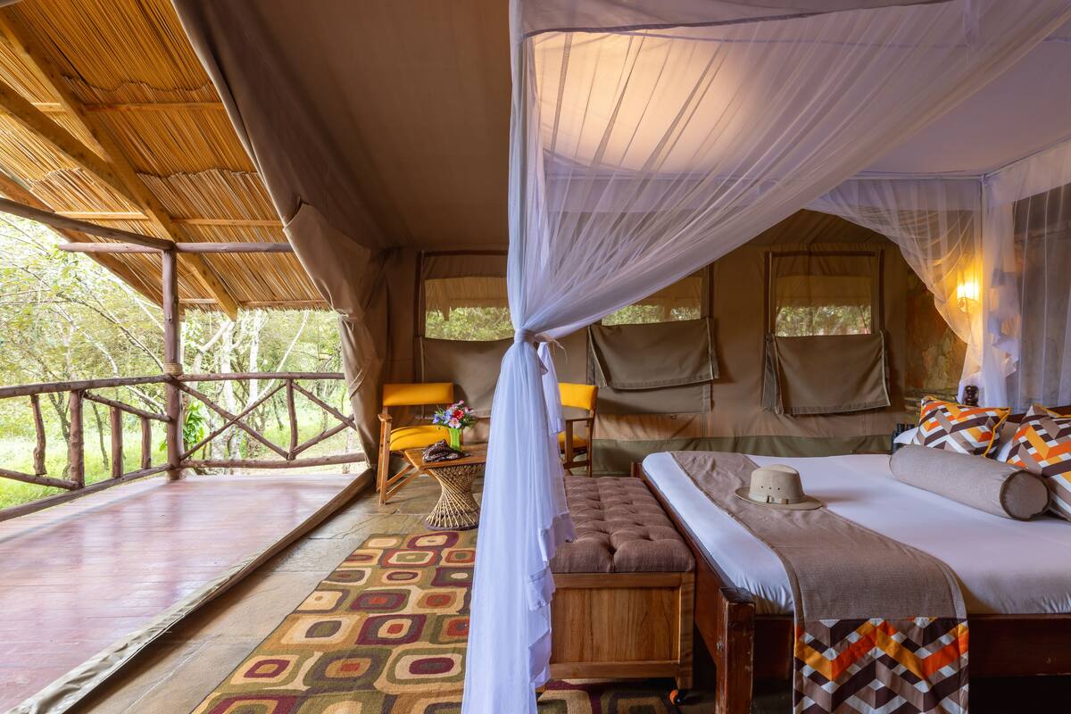 A tent-style room with a bed, a small table with a lamp, and a view of the outdoors.