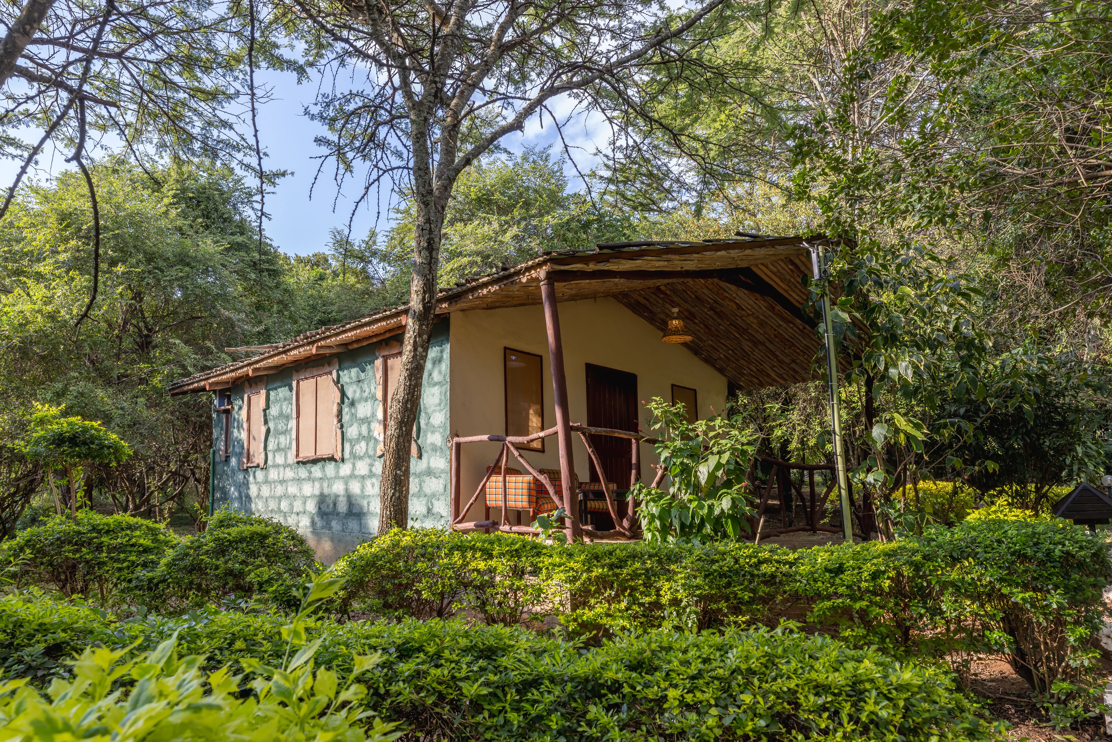 A rustic wooden house with a thatched roof, surrounded by lush greenery and trees.