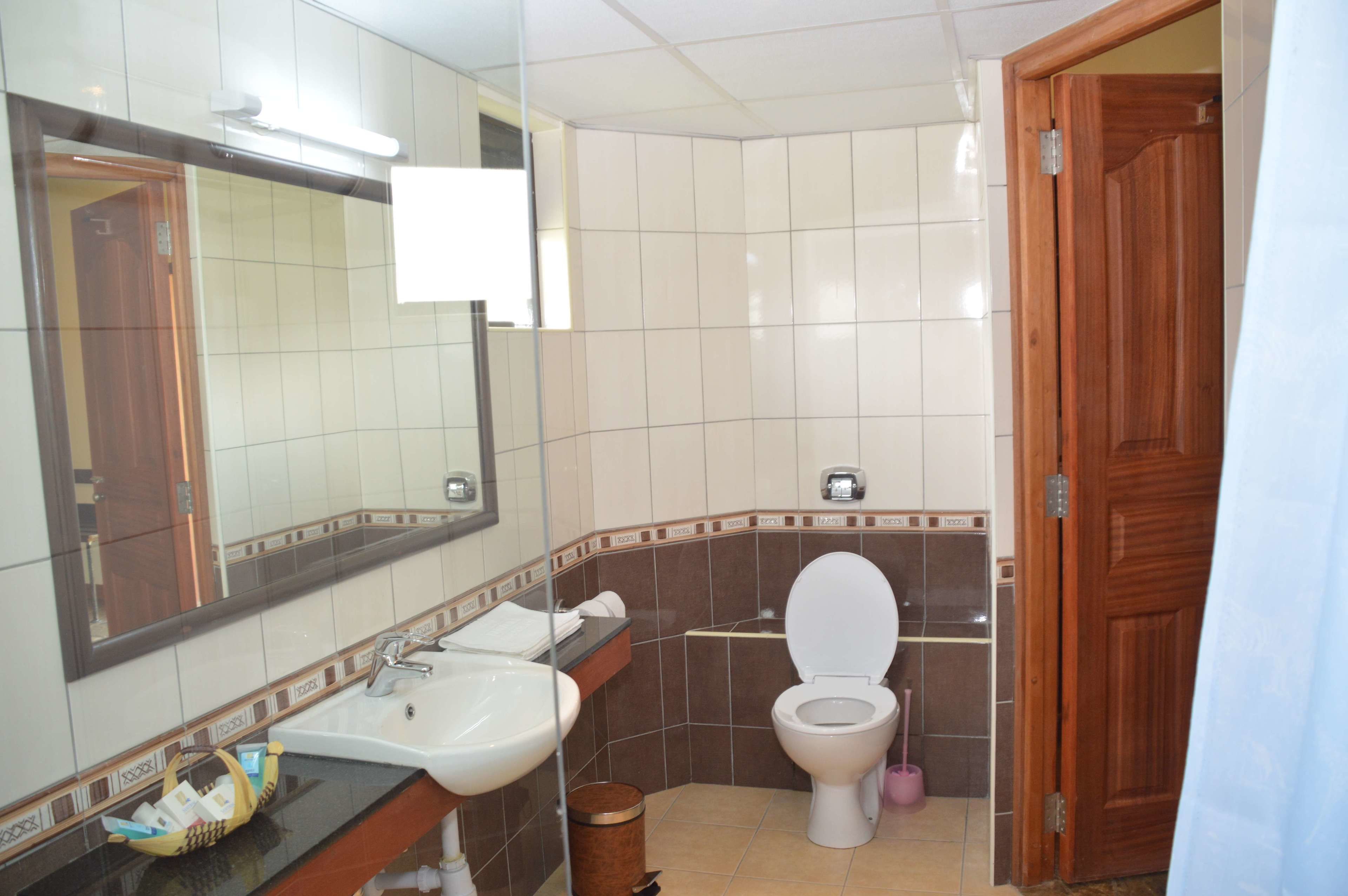 Een badkamer met een wastafel, spiegel, toilet en een houten deur.