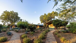 A courtyard with a stone pathway, surrounded by various plants and trees. - Sentrim Tsavo Lodge (Voi)