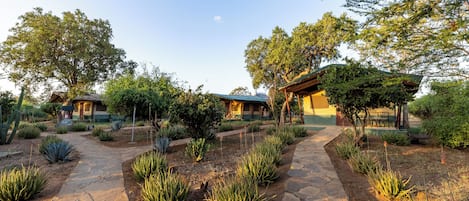 Un patio con un sendero de piedra, rodeado de plantas y árboles diversos.