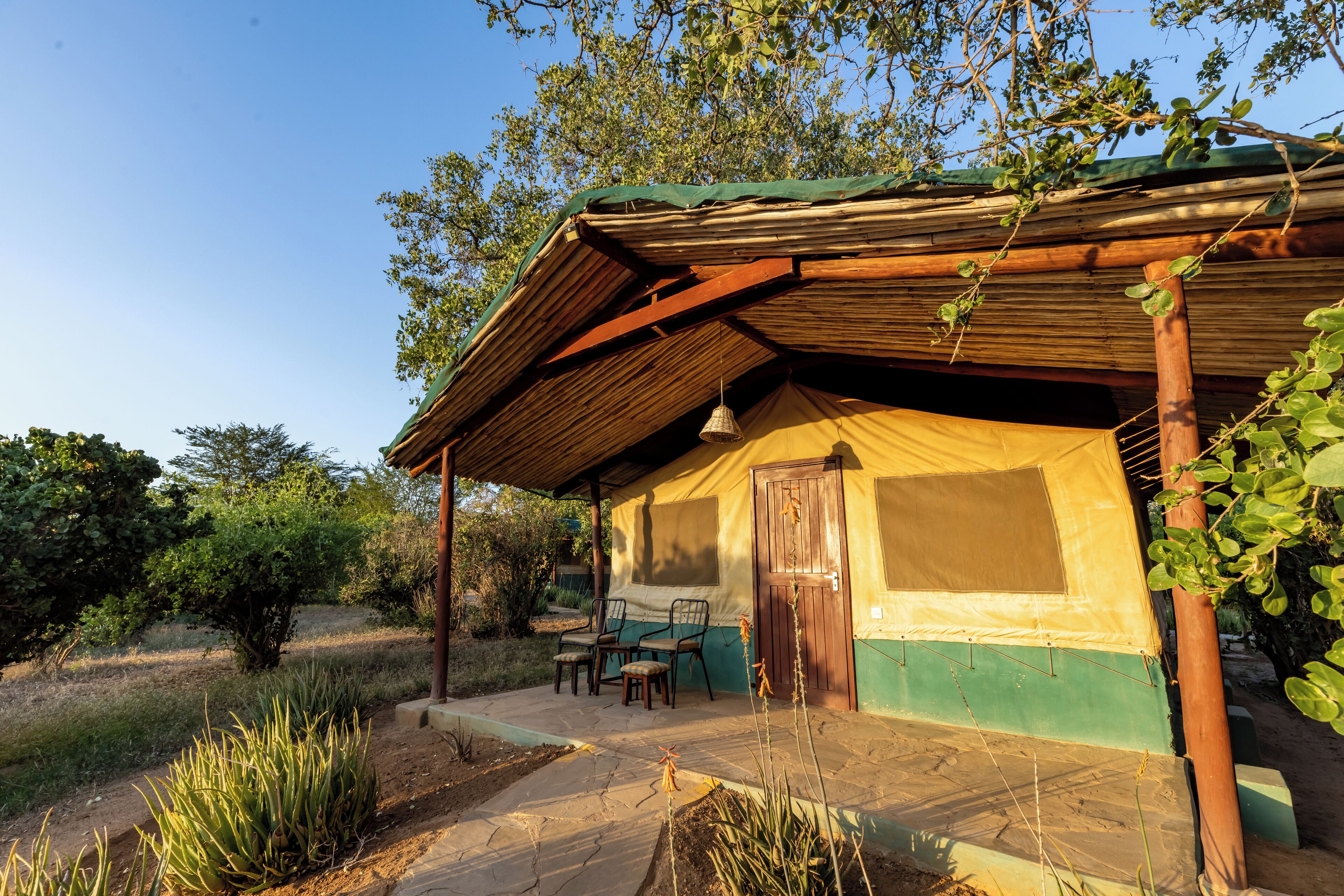 A rustic cabin with a wooden roof, a green awning, and a small porch with two chairs.