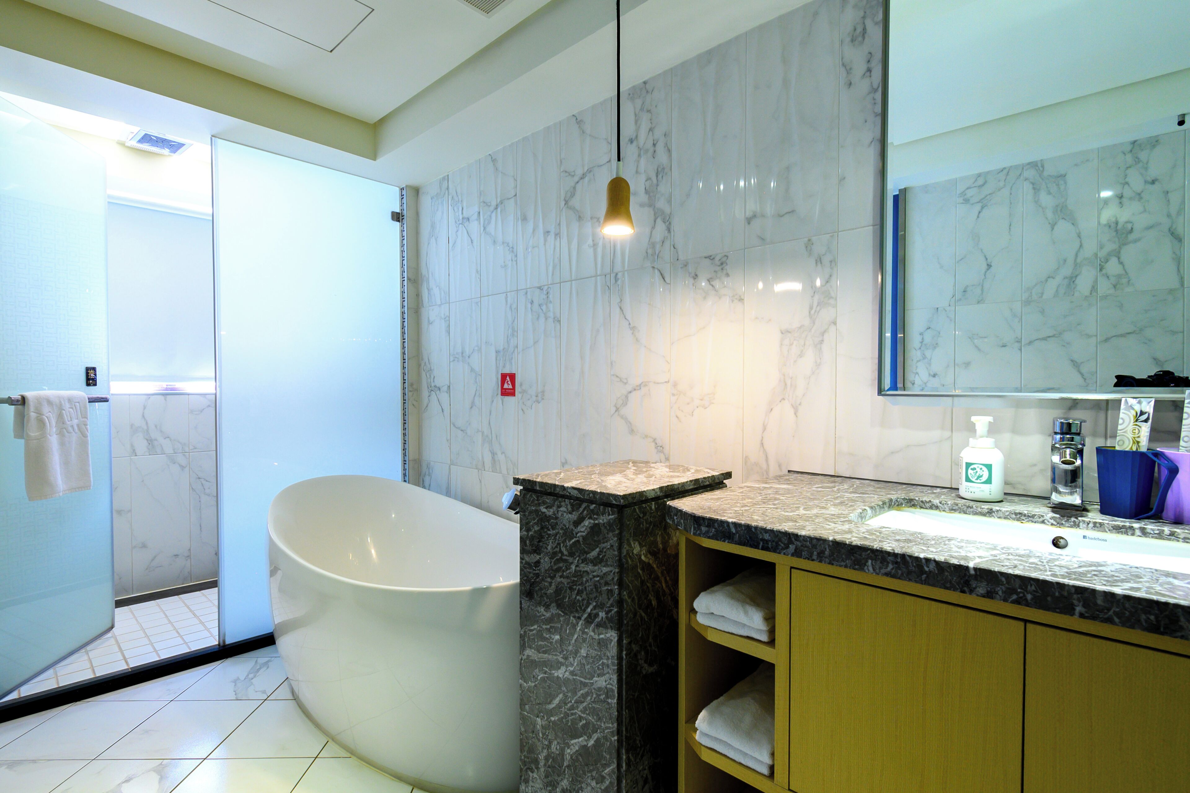 hair dryer, towels, shampoo, toilet paper