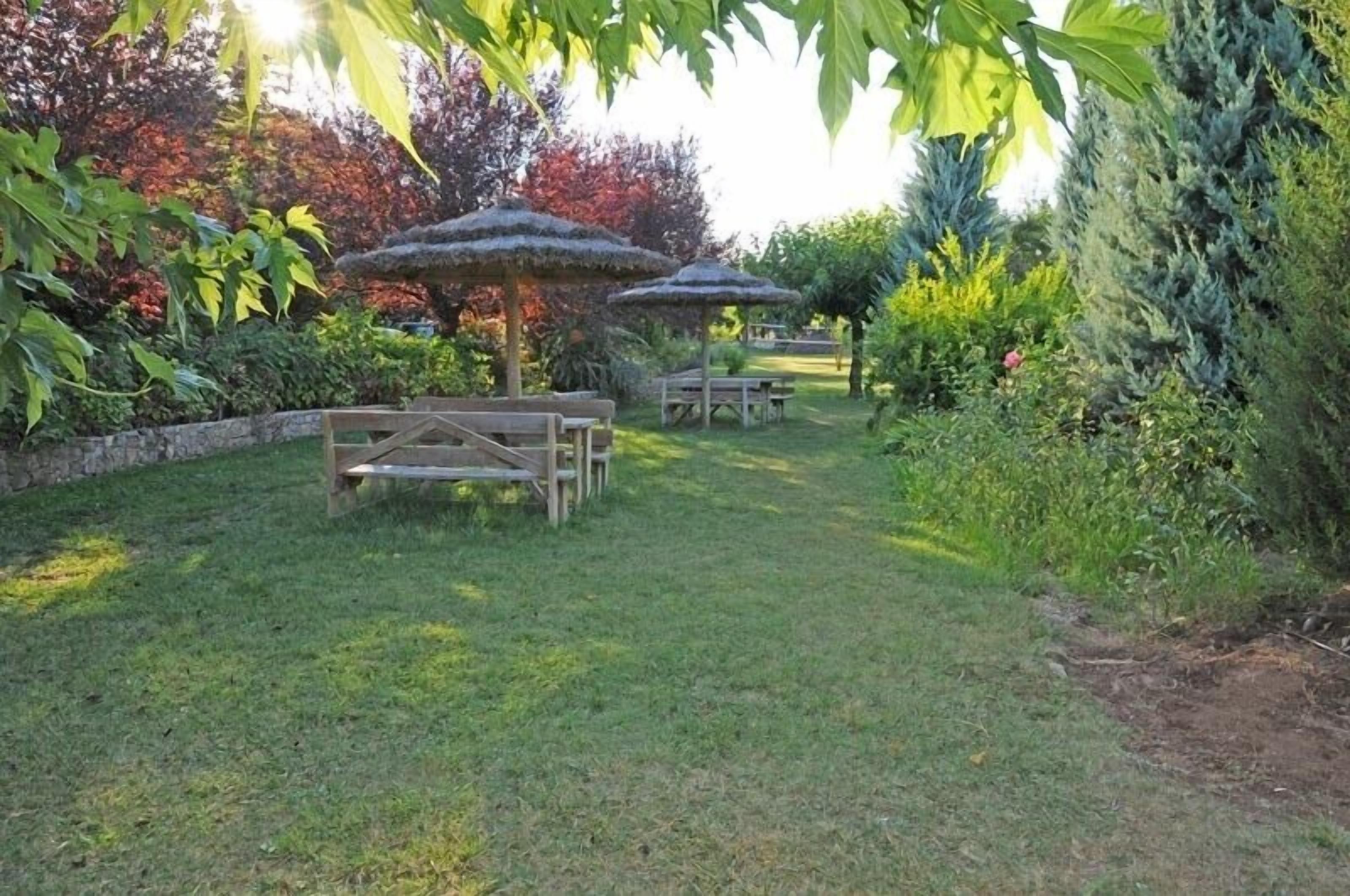 A garden with wooden benches and thatched umbrellas, surrounded by lush greenery and trees.