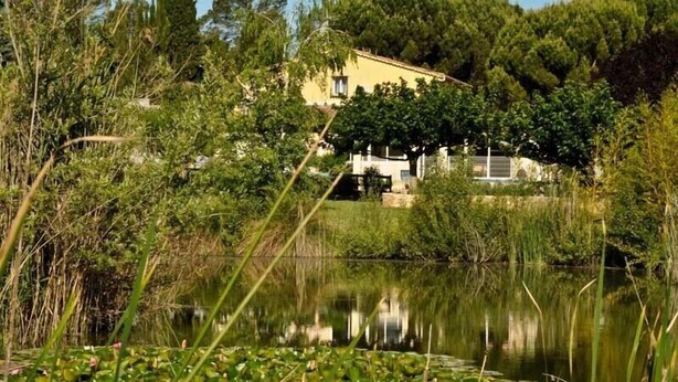 A house surrounded by a pond with lily pads and reeds.