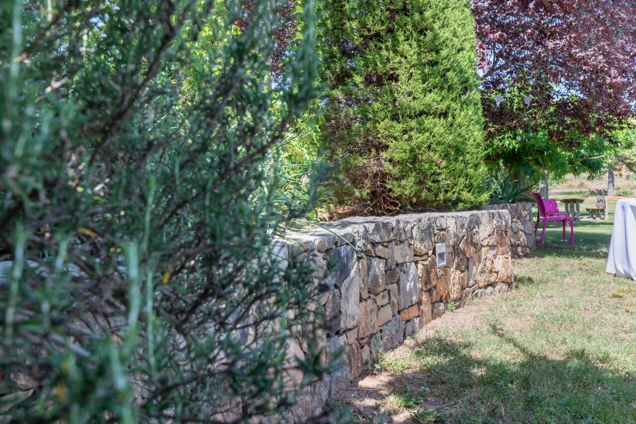 A stone wall, a tall coniferous tree, and a grassy area with a chair and table.
