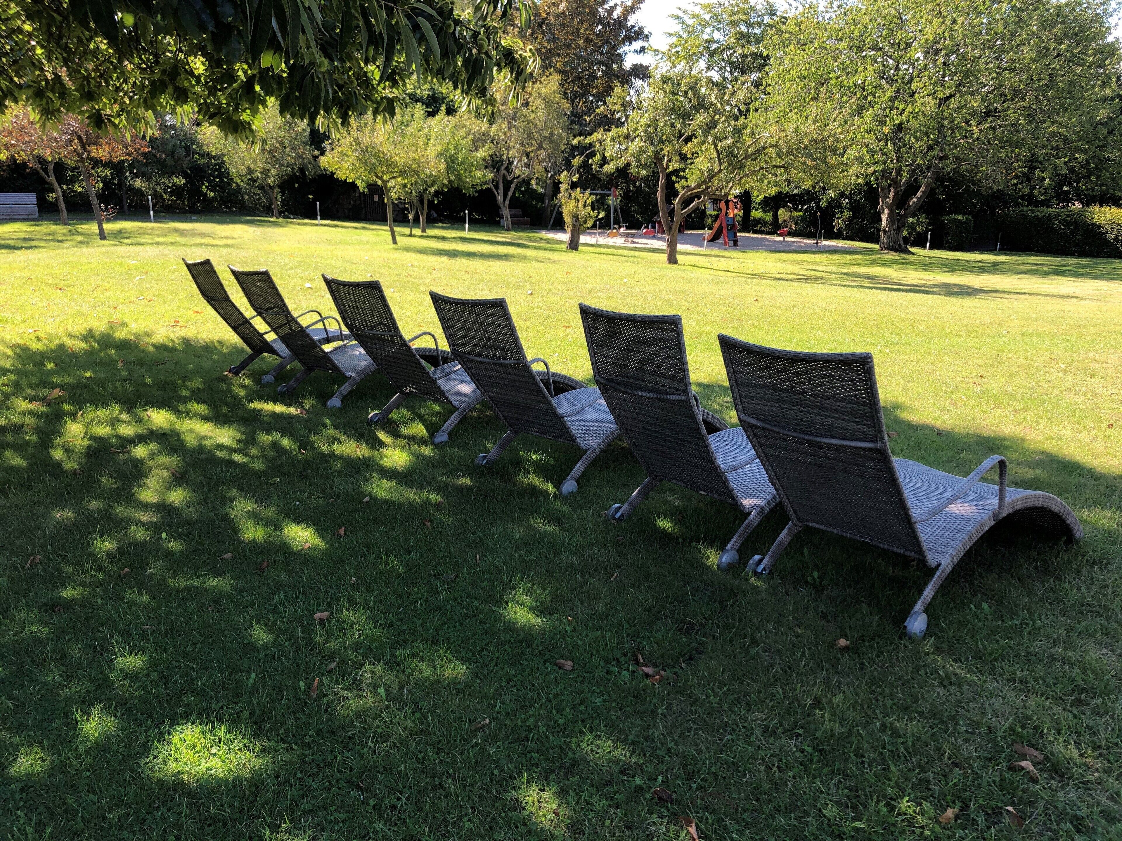 A row of outdoor lounge chairs in a park setting.
