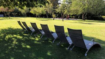 A row of outdoor lounge chairs in a park setting.