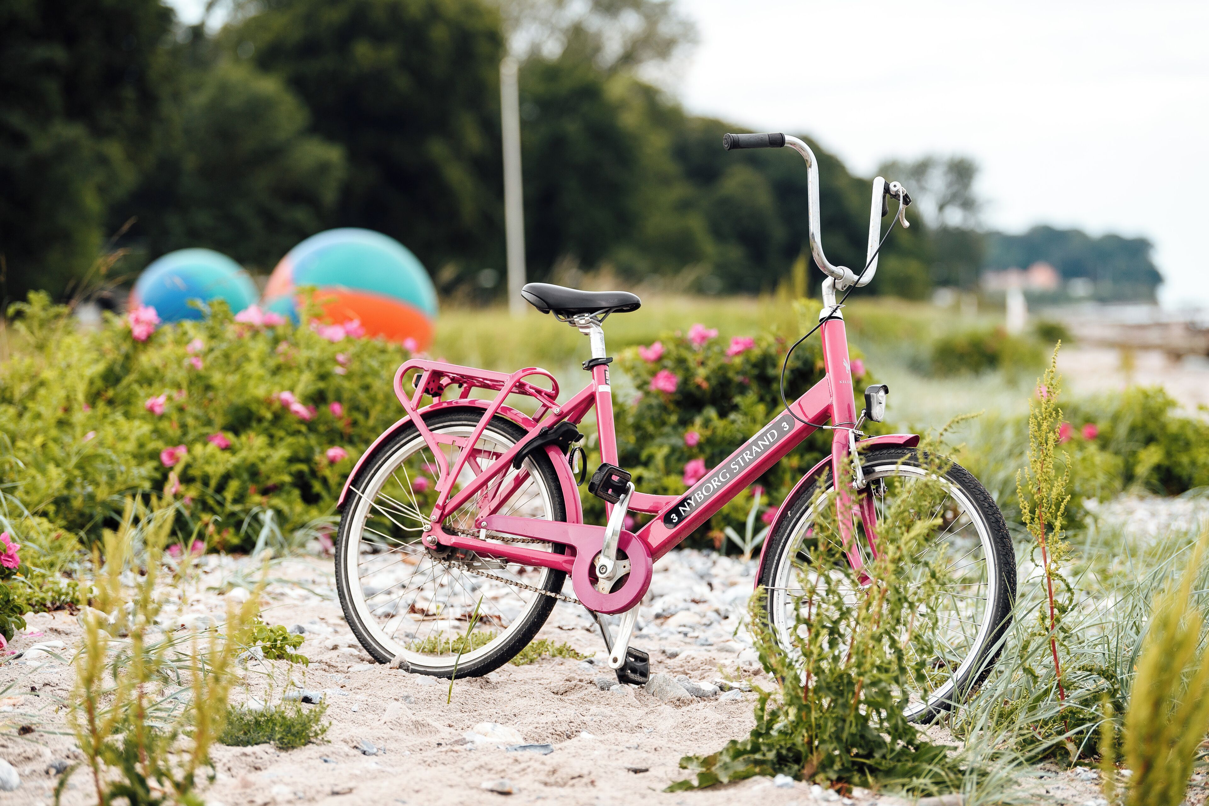 A pink bicycle with a basket and a chain guard, parked on a gravel path with greenery and flowers in the background.