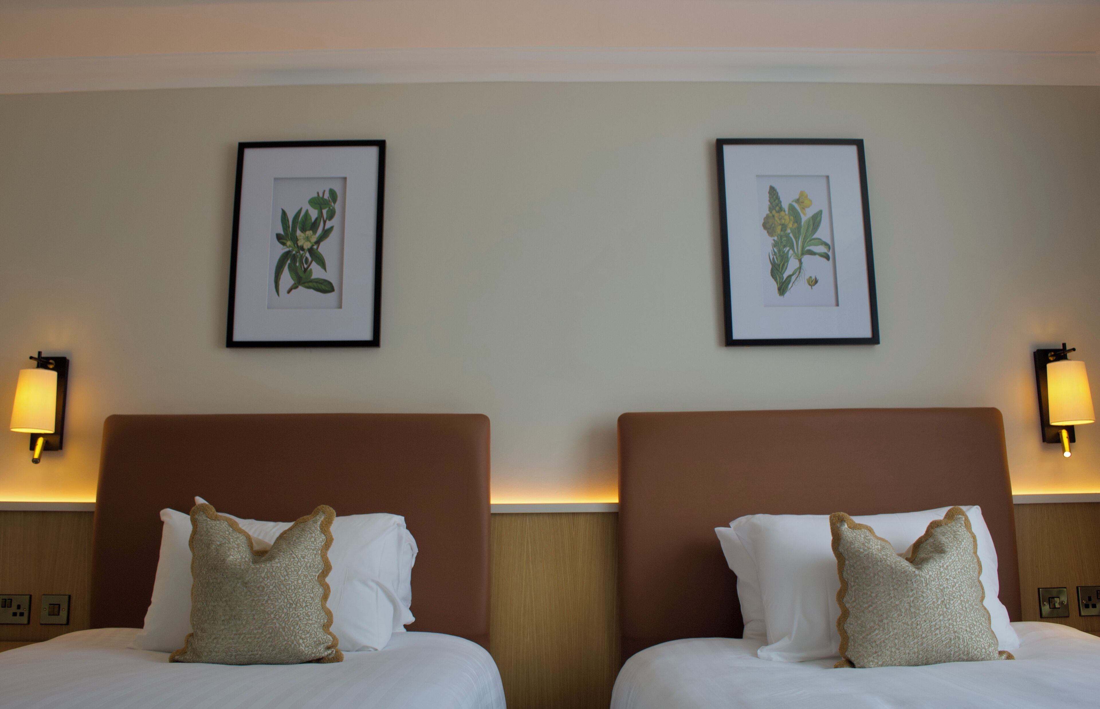 Two beds with brown headboards, white bedding, and decorative pillows. There are framed botanical prints on the wall above the beds.