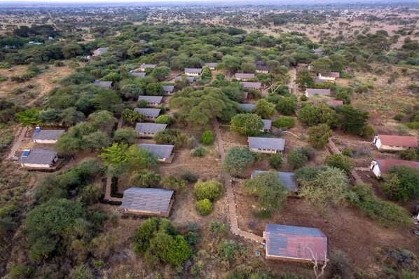 Vista aérea de una zona residencial con varias casas, rodeada de abundante vegetación y árboles.