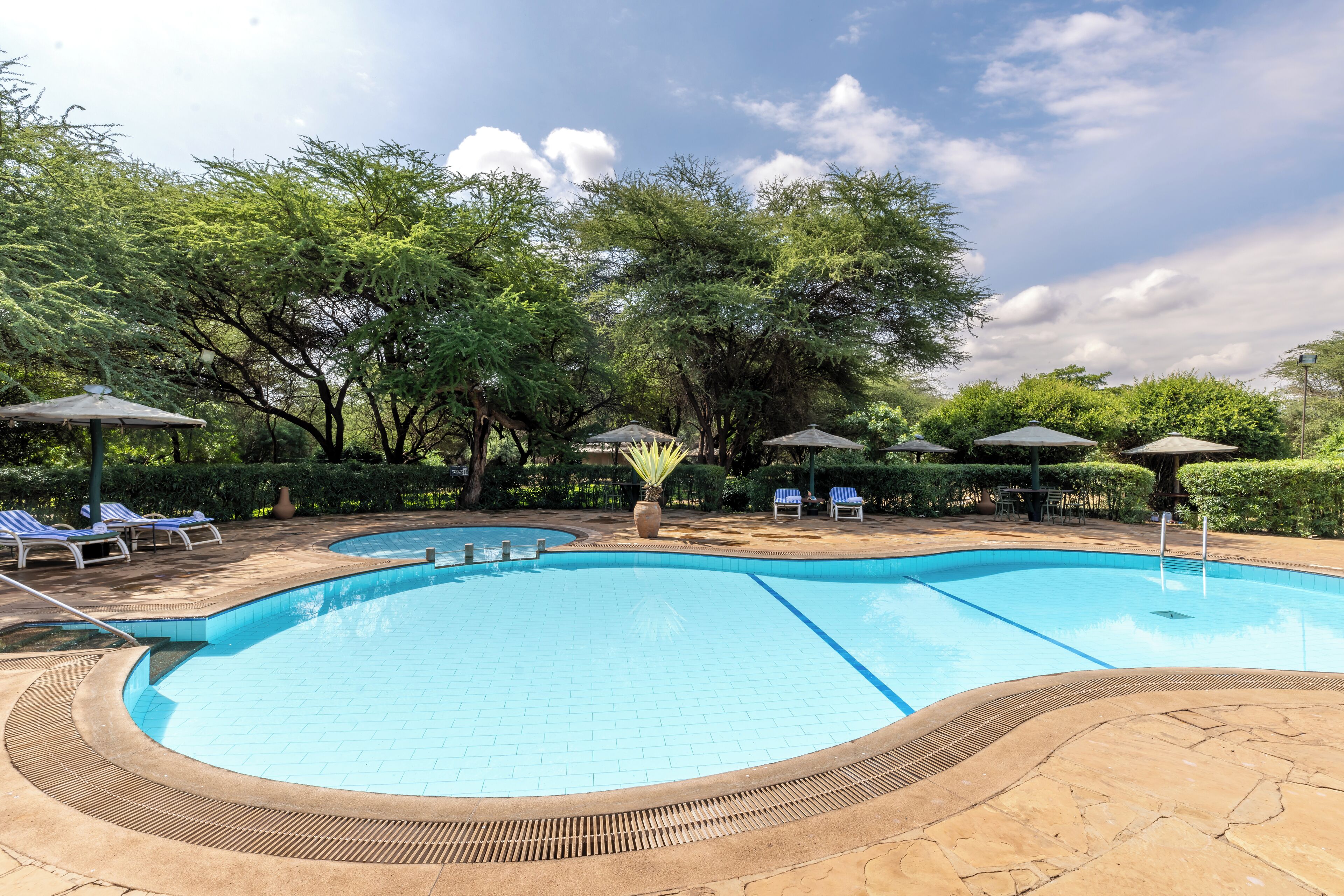 A swimming pool with tiled edges, surrounded by lounge chairs and umbrellas, set in a landscaped area with trees.