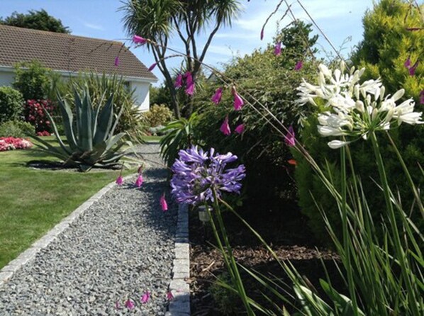 A garden pathway with gravel, surrounded by various plants and flowers.