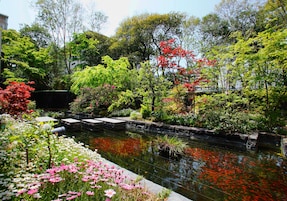 Un jardín tranquilo con un estanque, abundante vegetación y plantas en flor.