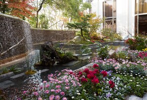 A serene garden with a stone wall, a small pond, and a variety of flowers.