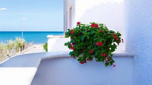 A white balcony with a hanging planter of red flowers, overlooking a clear blue sea. - Case Playa (Balestrate)