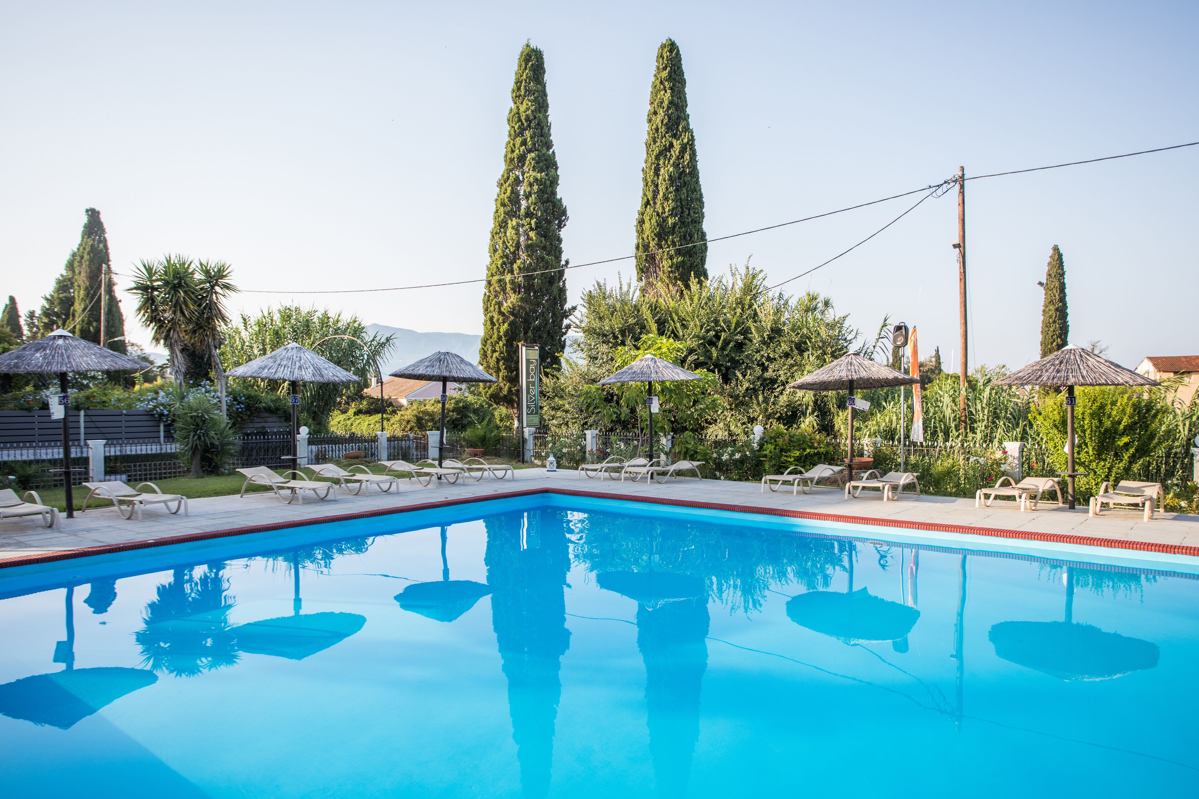 A swimming pool with lounge chairs and umbrellas, surrounded by tall trees and greenery.