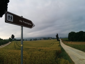 Explore the serene countryside along the via Francigena path, suitable for walkers and those with mobility aids.