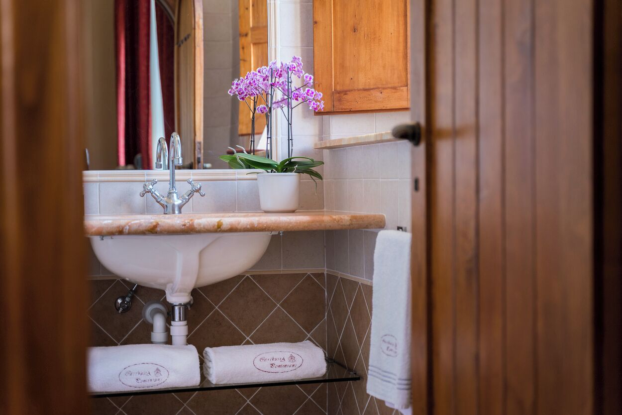 A bathroom with a sink, mirror, and a potted orchid.