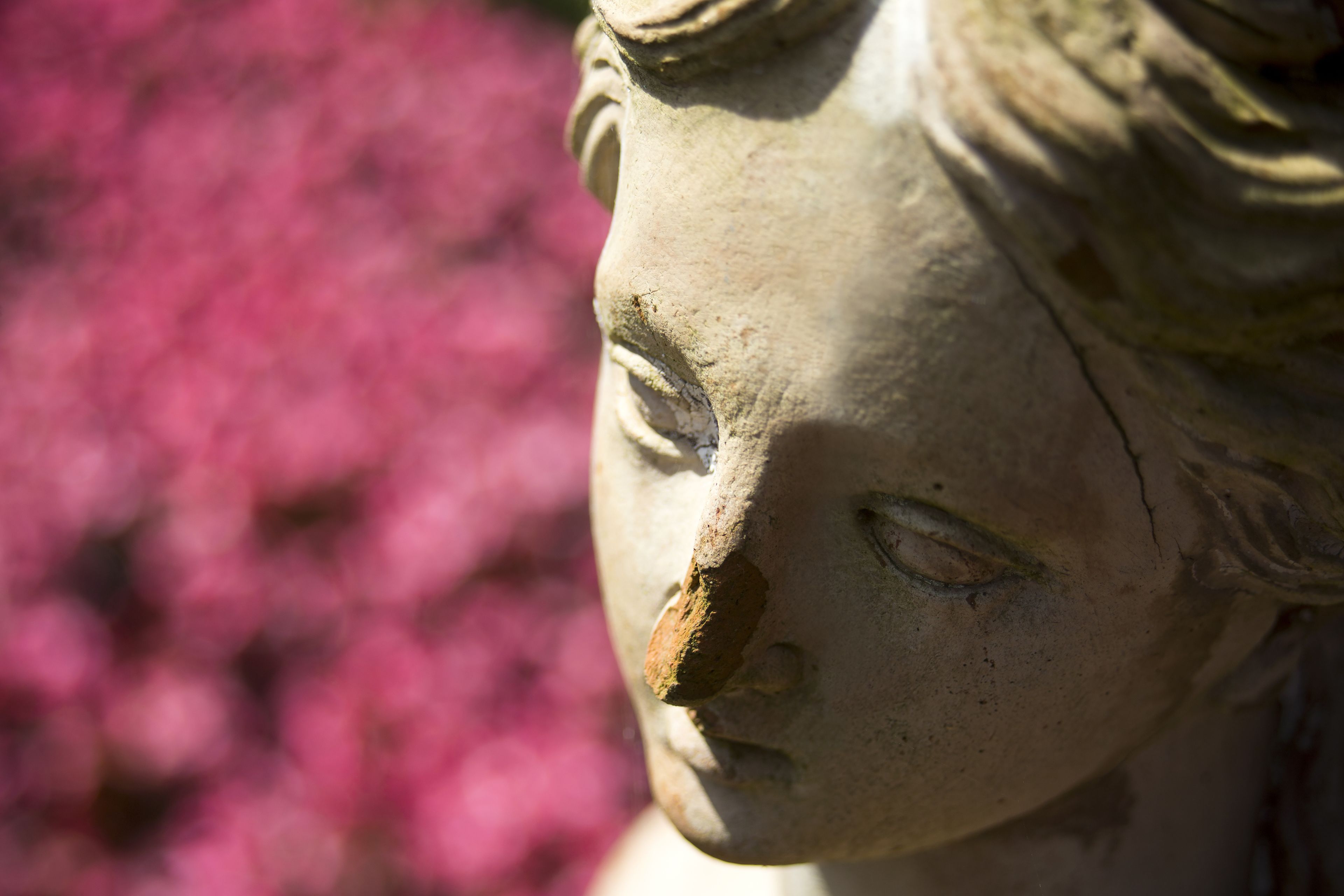 A close-up of a stone statue with a detailed face and a rough texture.