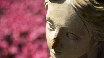 A close-up of a stone statue with a detailed face and a rough texture.