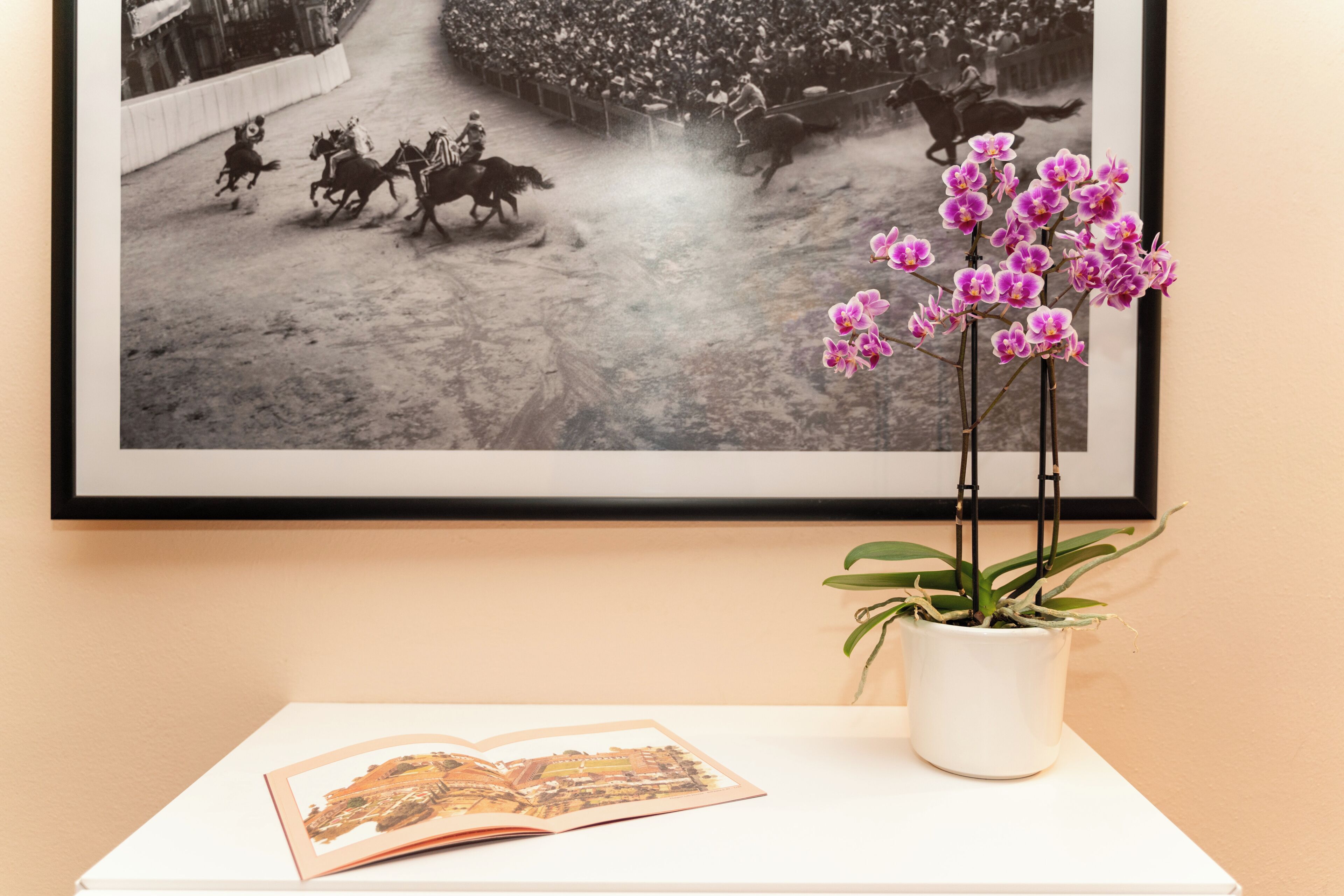 A framed historical photograph on a wall, a potted orchid, and an open book on a table.