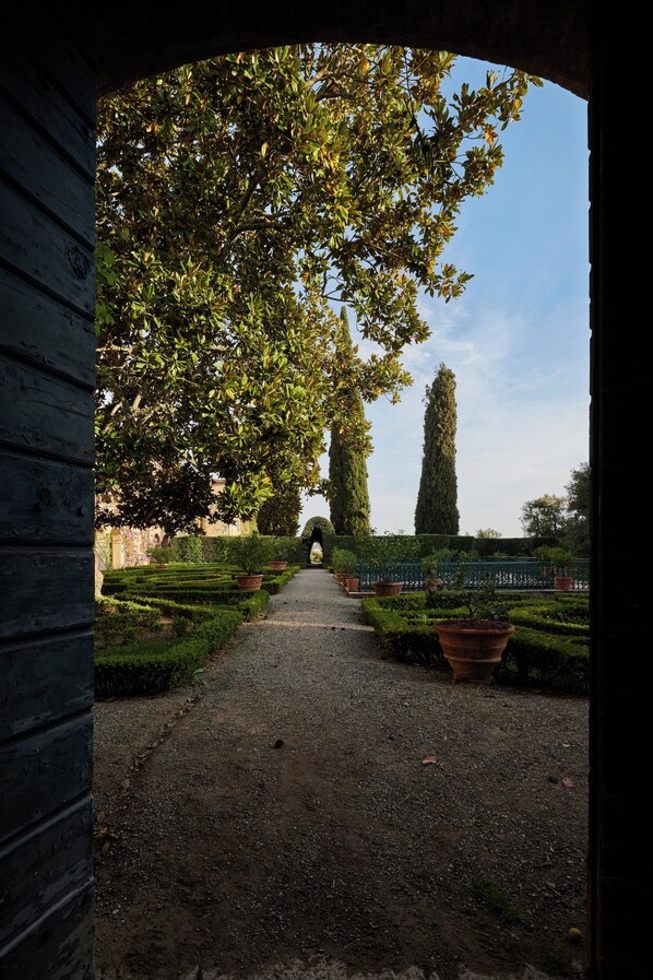A pathway leading through a garden with neatly trimmed hedges and tall trees.