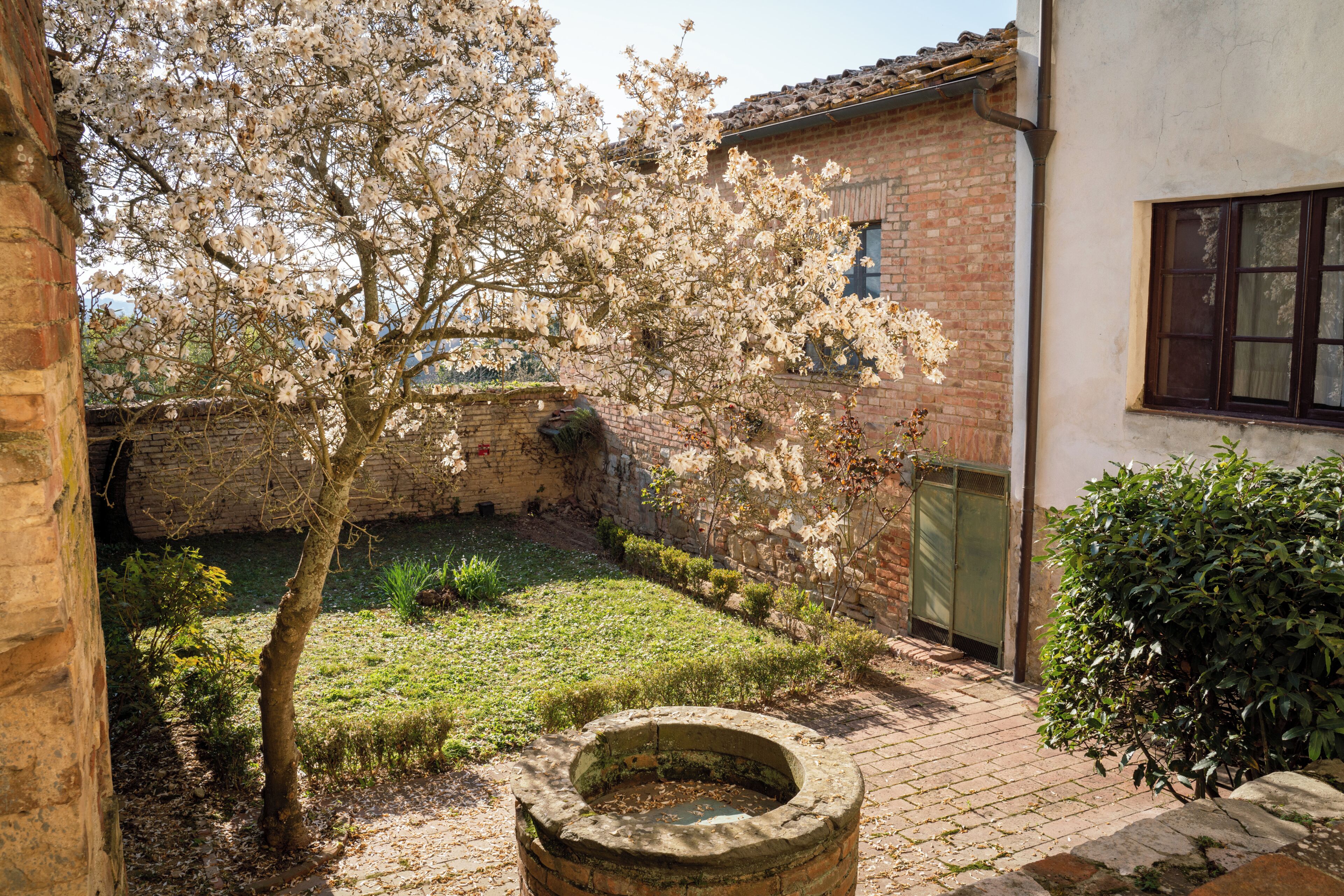 A courtyard with a brick wall, a tree with white blossoms, a circular stone structure, and a small bush.