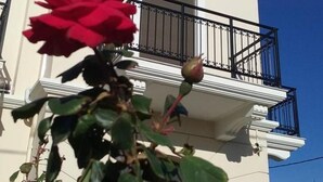 A white building with a balcony and a red rose in the foreground. - Ilida Kourouta Studios (Ilida)
