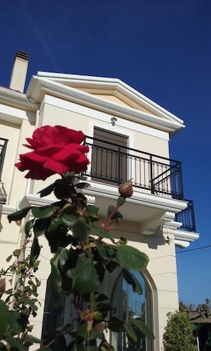 Exterior - Ilida Kourouta Studios (Ilida)