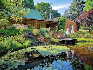 Vista desde la propiedad