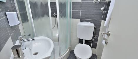 A modern bathroom with a glass shower enclosure, a white sink, and a toilet.