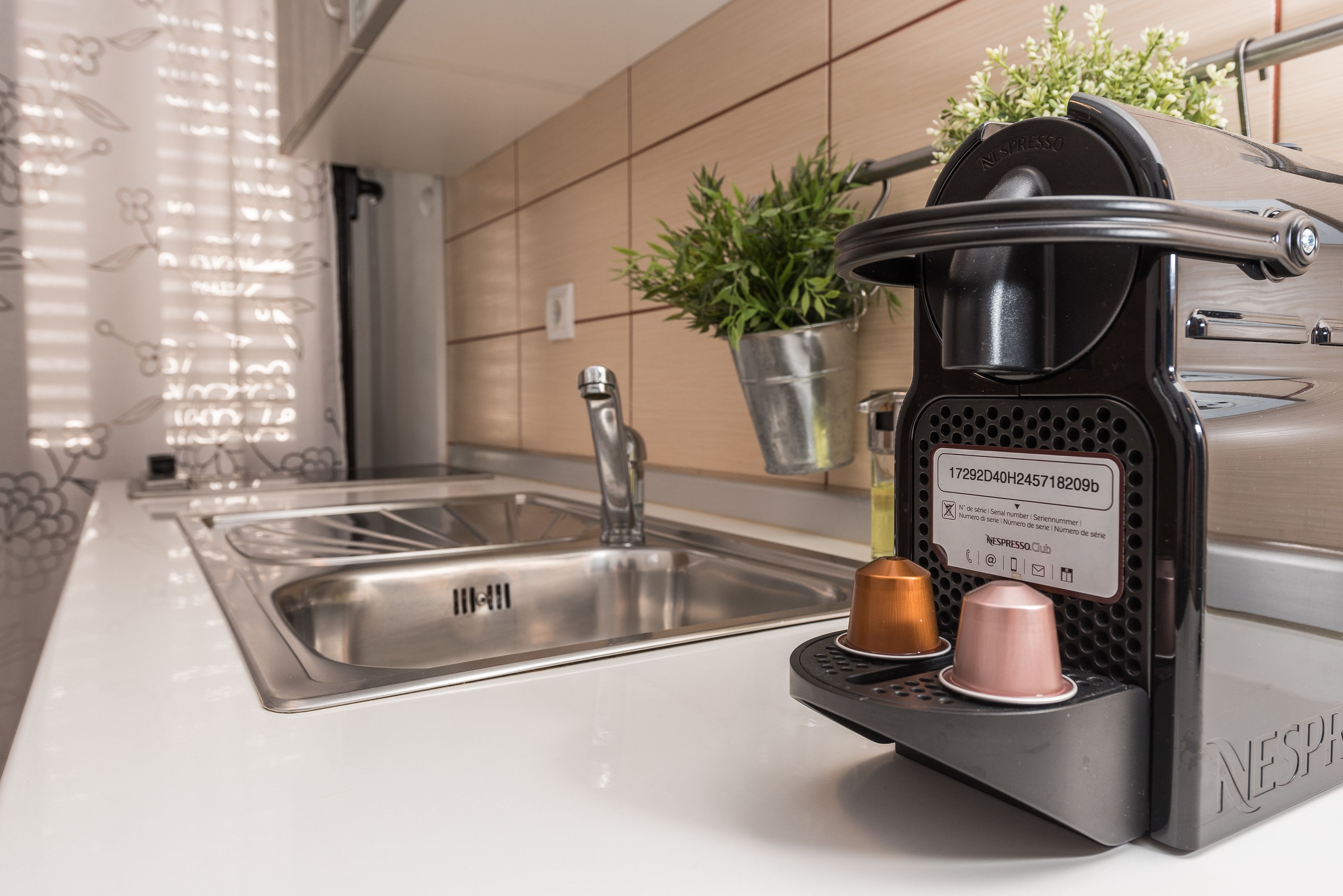 A kitchen with a modern espresso machine, a sink, and a potted plant.