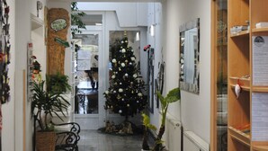 A hallway with a Christmas tree, potted plants, and a wooden bookshelf. - Hotel Fala (Zagreb)