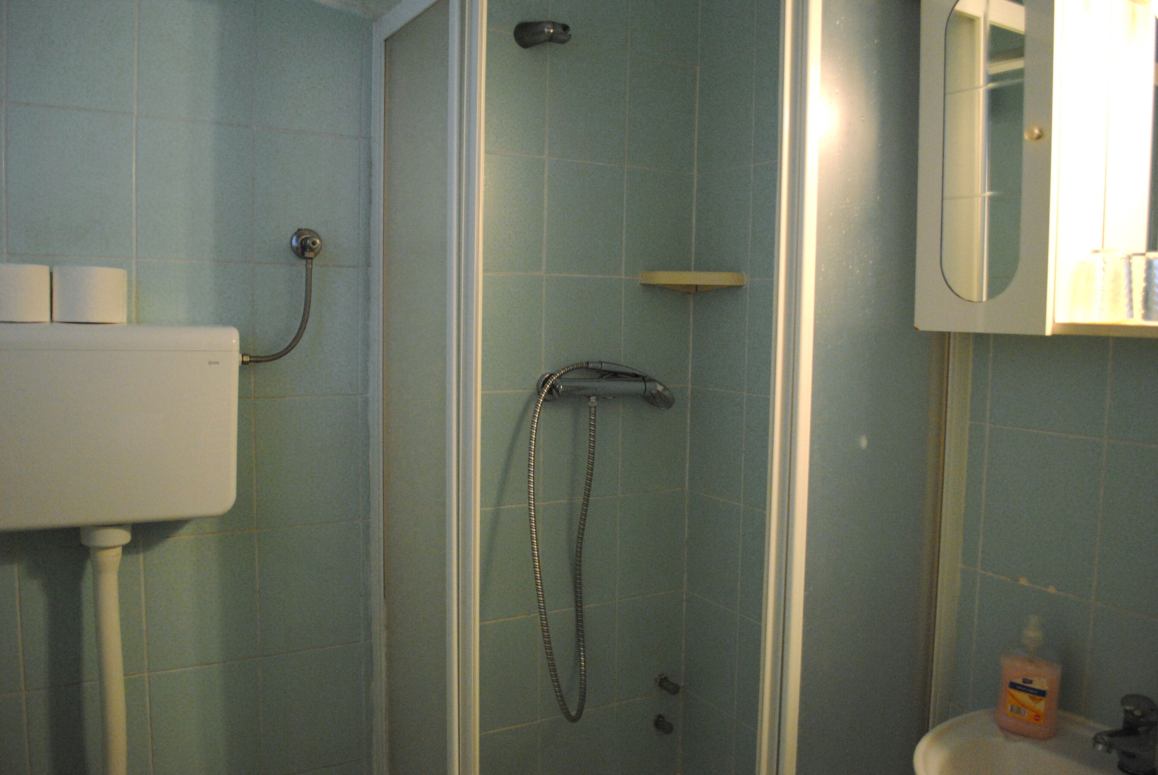 Een badkamer met douche, toilet en wastafel.