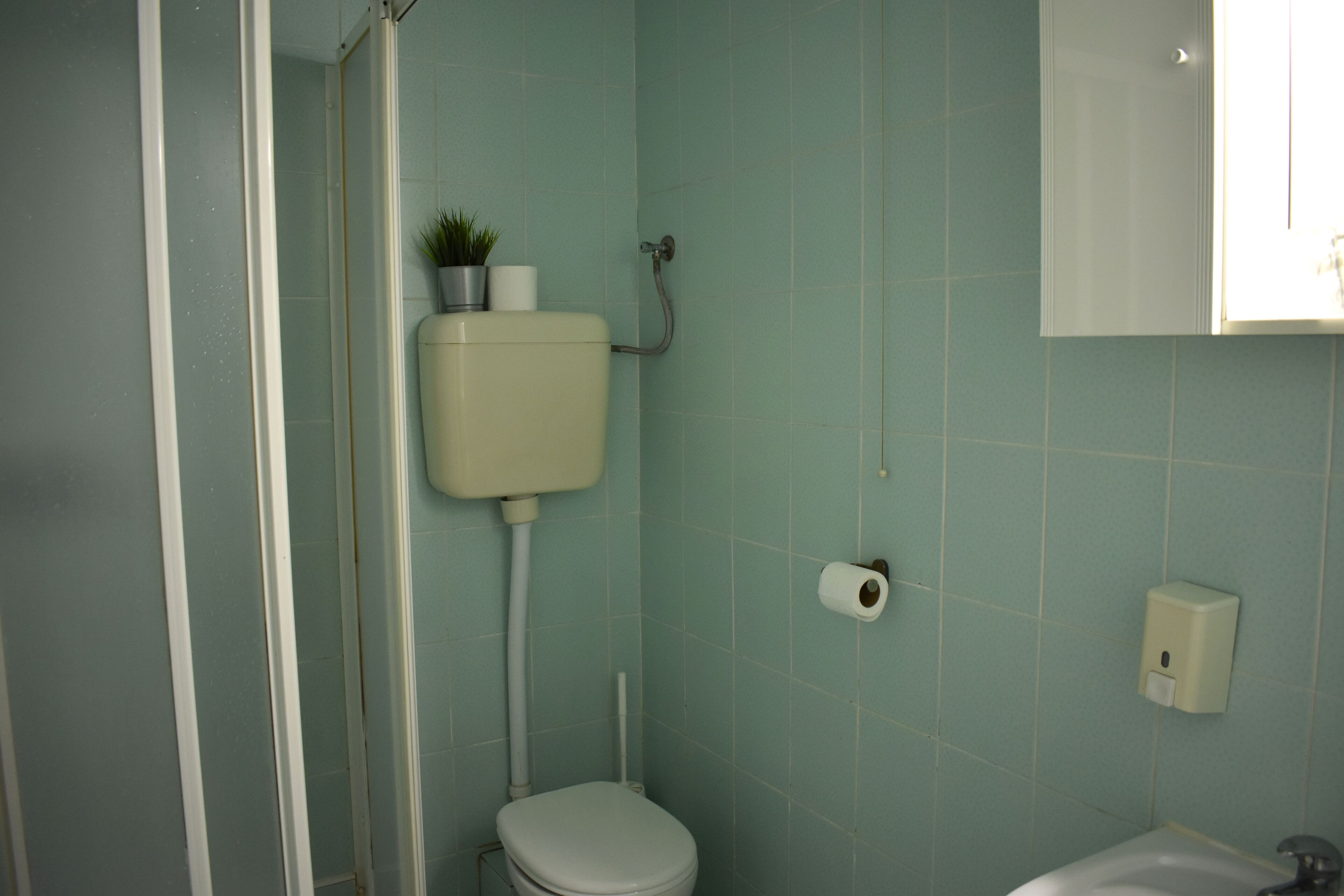 Een badkamer met toilet, douche en wastafel.