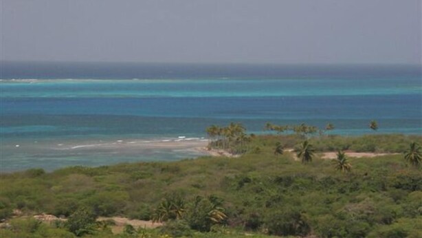 A coastal landscape with a beach, dense vegetation, and a clear view of the ocean. - South Coast Ocean View Apartments (Cades Bay)