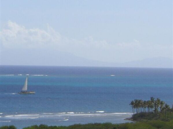 Vue depuis l’hébergement 