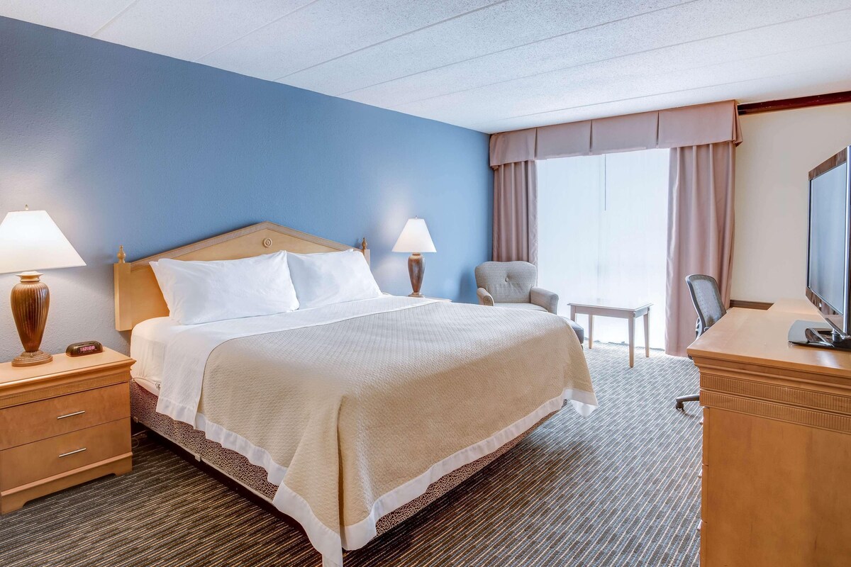 1 bedroom, in-room safe, desk, iron/ironing board