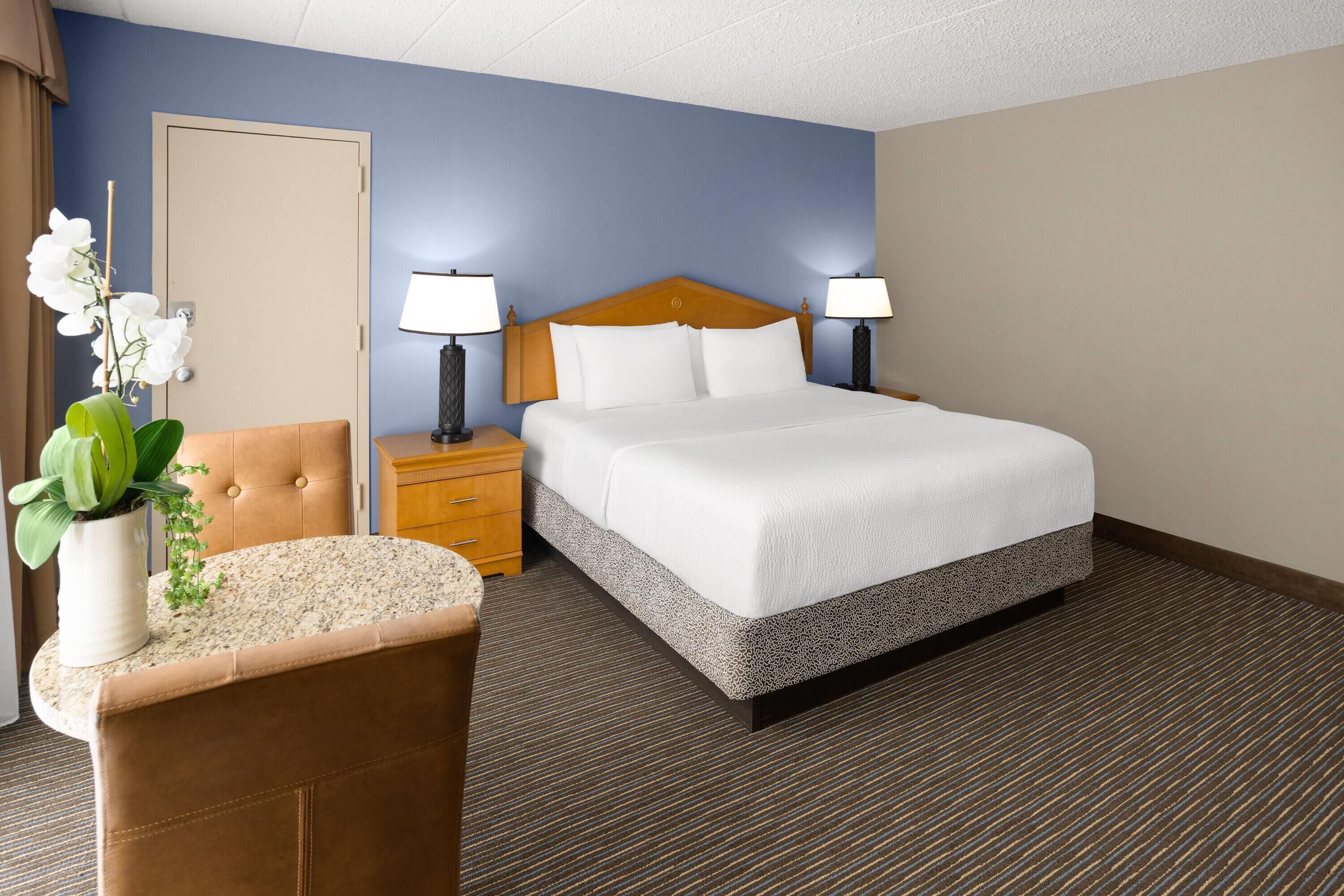 A hotel room with a bed, two bedside lamps, a nightstand, a chair, and a potted plant.